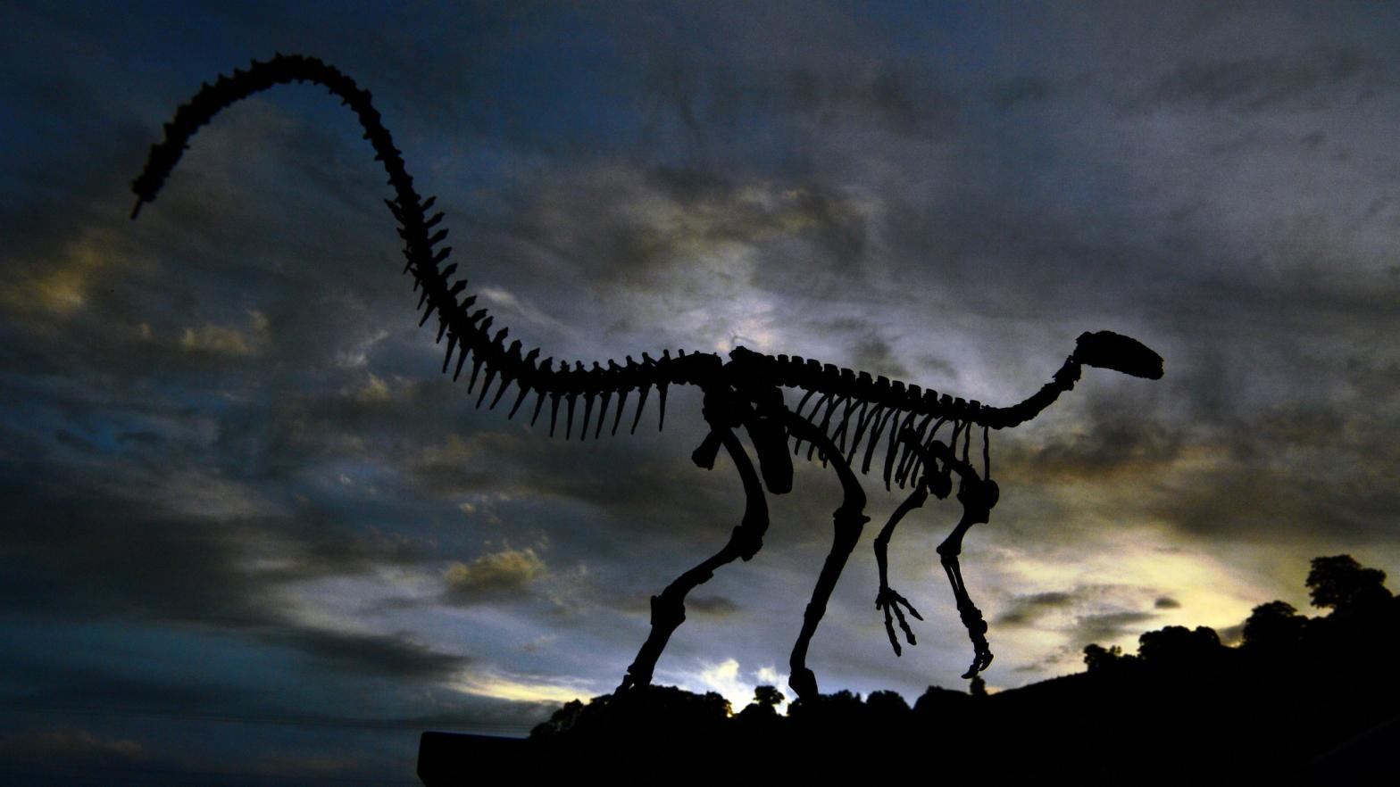 The fossilized skeleton of a dinosaur outside a Brazilian research centre. (Photo: CARL DE SOUZA/AFP, Getty Images)