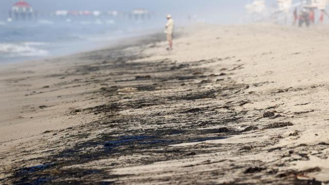 Major Oil Spill Off the Coast of Southern California Has ‘Dolphins Swimming Thru the Oil’