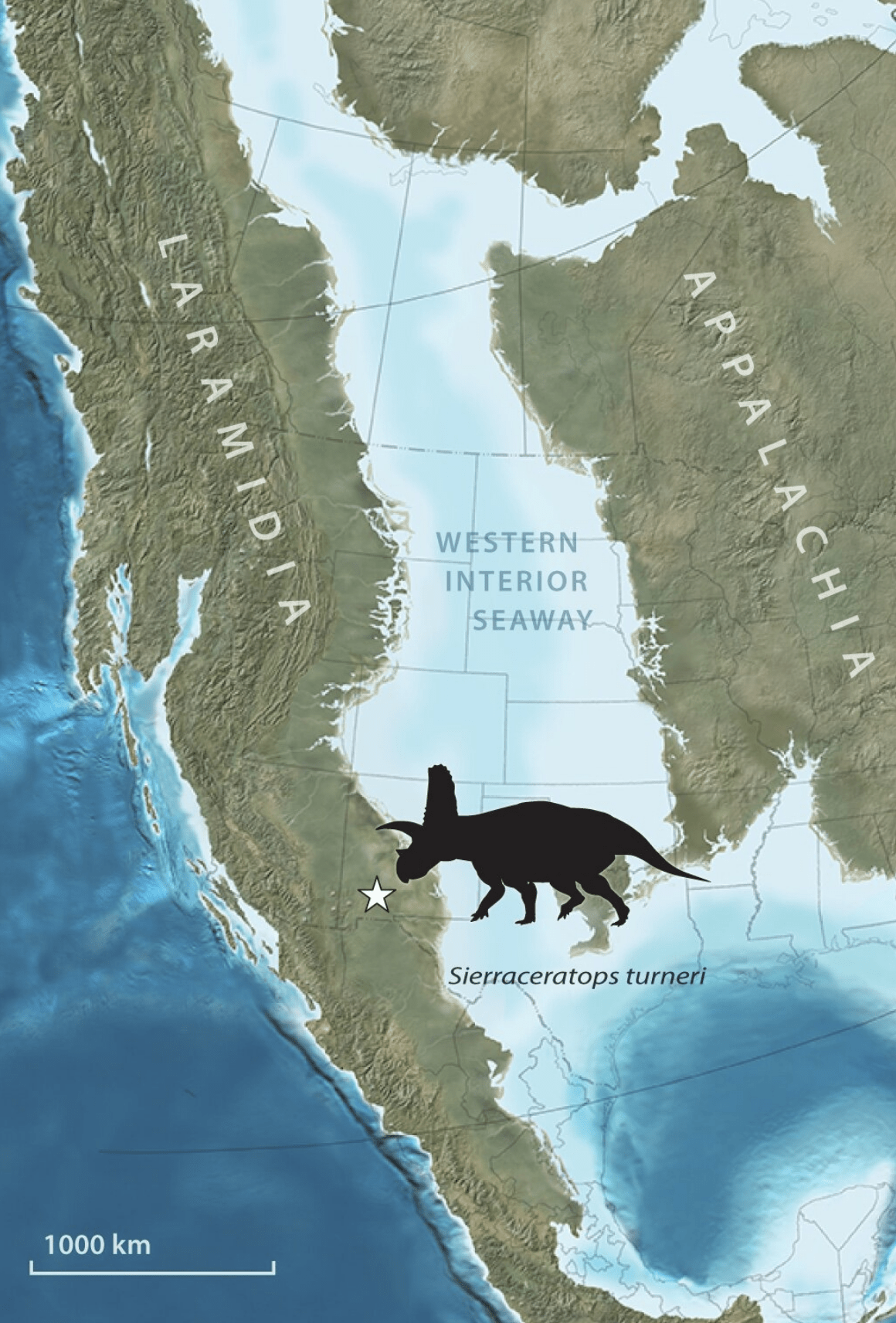 Sierraceratops lived on a coastal plain to the west of the Western Interior Seaway.  (Image: Nick Longrich)