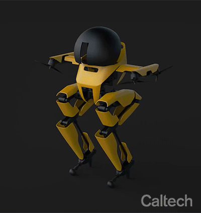 A thoroughly terrifying — and distinctly bee-like — impression of what LEO might look like in the future.  (Gif: Caltech)