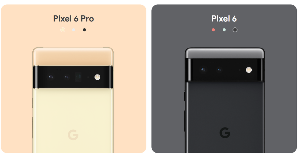 The new PIxel 6 will be available in two variants: regular and Pro.  (Screenshot: Google)