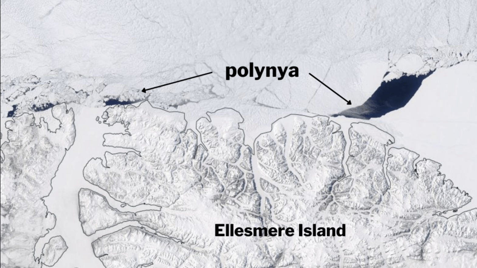 The large gap seen to the north of Ellesmere Island in May 2020.  (Image: NASA EOSDIS Worldview)
