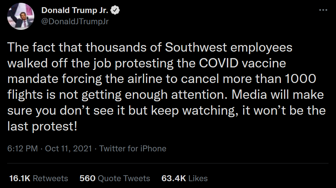 Just some insights into the completely fictional Southwest protest from Donald Trump Jr. (Screenshot: Twitter)