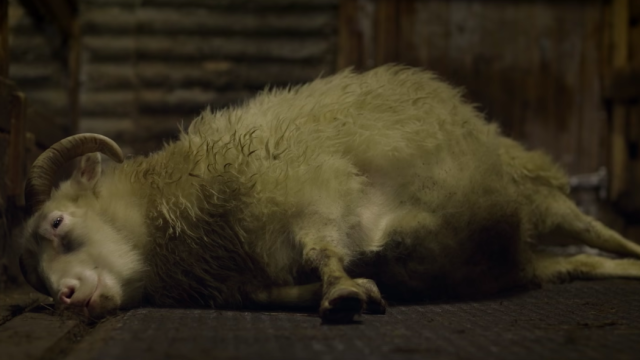 A24’s Deeply Unsettling Lamb Will Stream for One Night Only