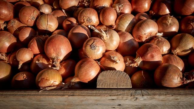 Onions Sold in 37 States Linked to Salmonella Outbreak in U.S.