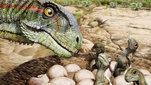 Stunning Trove of Jurassic Fossils Is Earliest Evidence of Herd Behaviour in Dinosaurs
