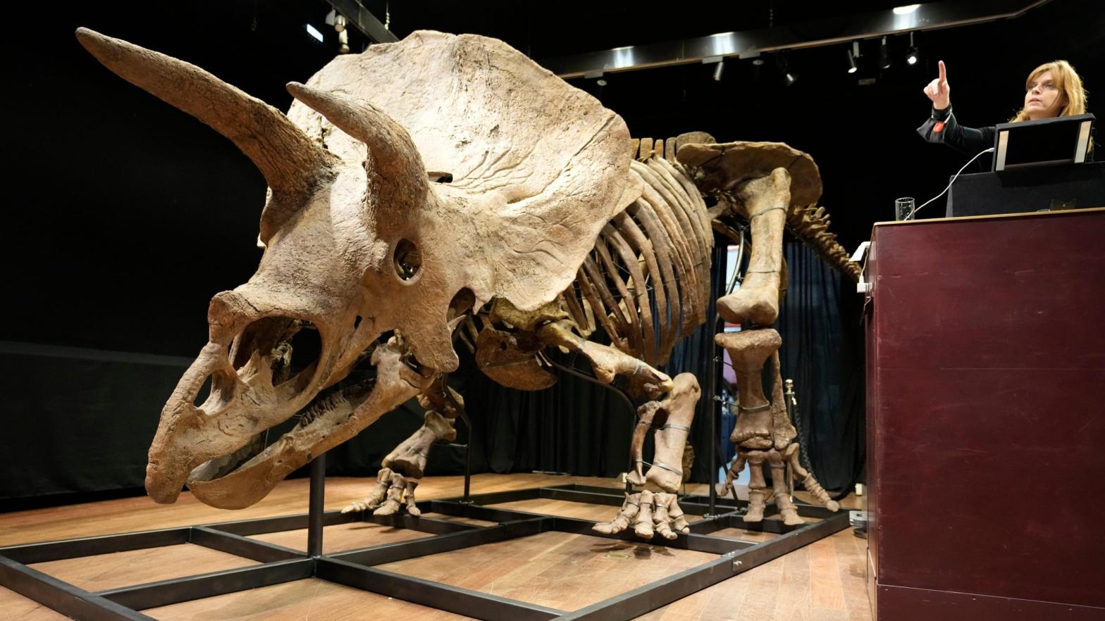 Auction officer Violette Stcherbatcheff gestures next to the world's biggest triceratops skeleton, during its auction on Oct. 21, 2021 in Paris, France. (Photo: Francois Mori, AP)