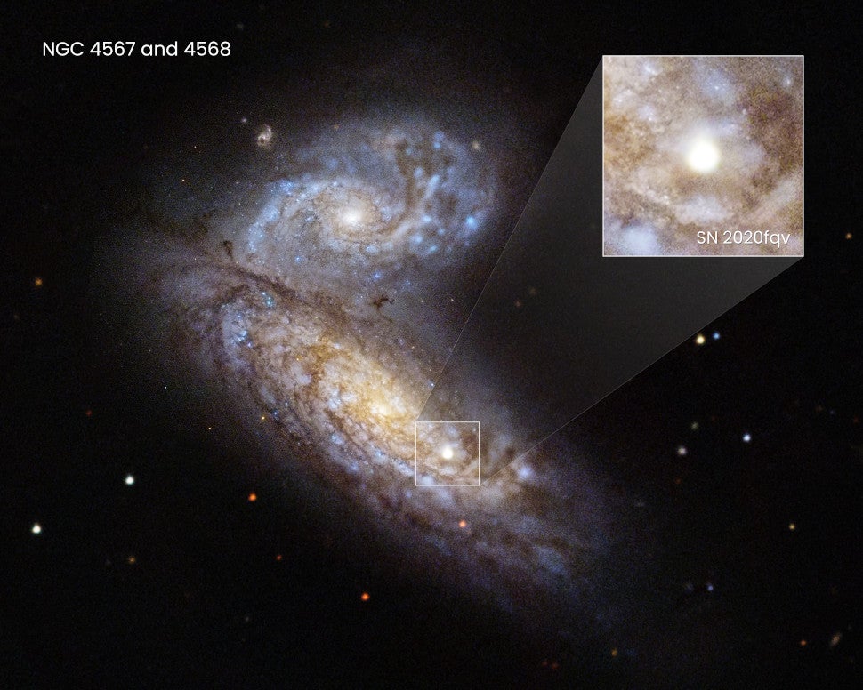 The location of SN 2020fqv within its host galaxy.  (Image: NASA, ESA, Ryan Foley (UC Santa Cruz), Joseph DePasquale (STScI))