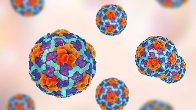 Hepatitis A Outbreak Linked to Virginia Restaurant Chain Sickens 50 People, Kills One
