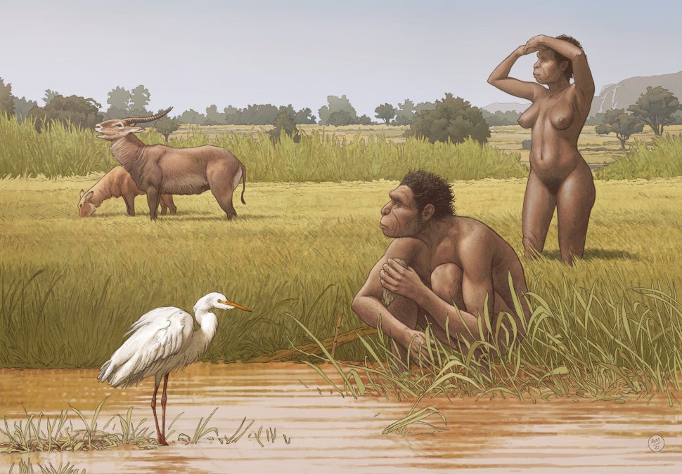 Artist's impression of male and female members of the newly proposed taxon, Homo bodoensis.  (Image: Ettore Mazza)