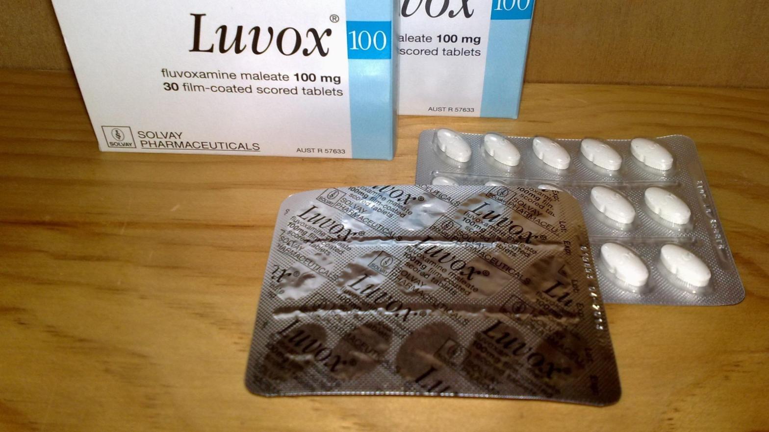A blister package of fluvoxamine, commonly sold under the brand name Luvox.  (Photo: Editor182/Wikimedia Commons)