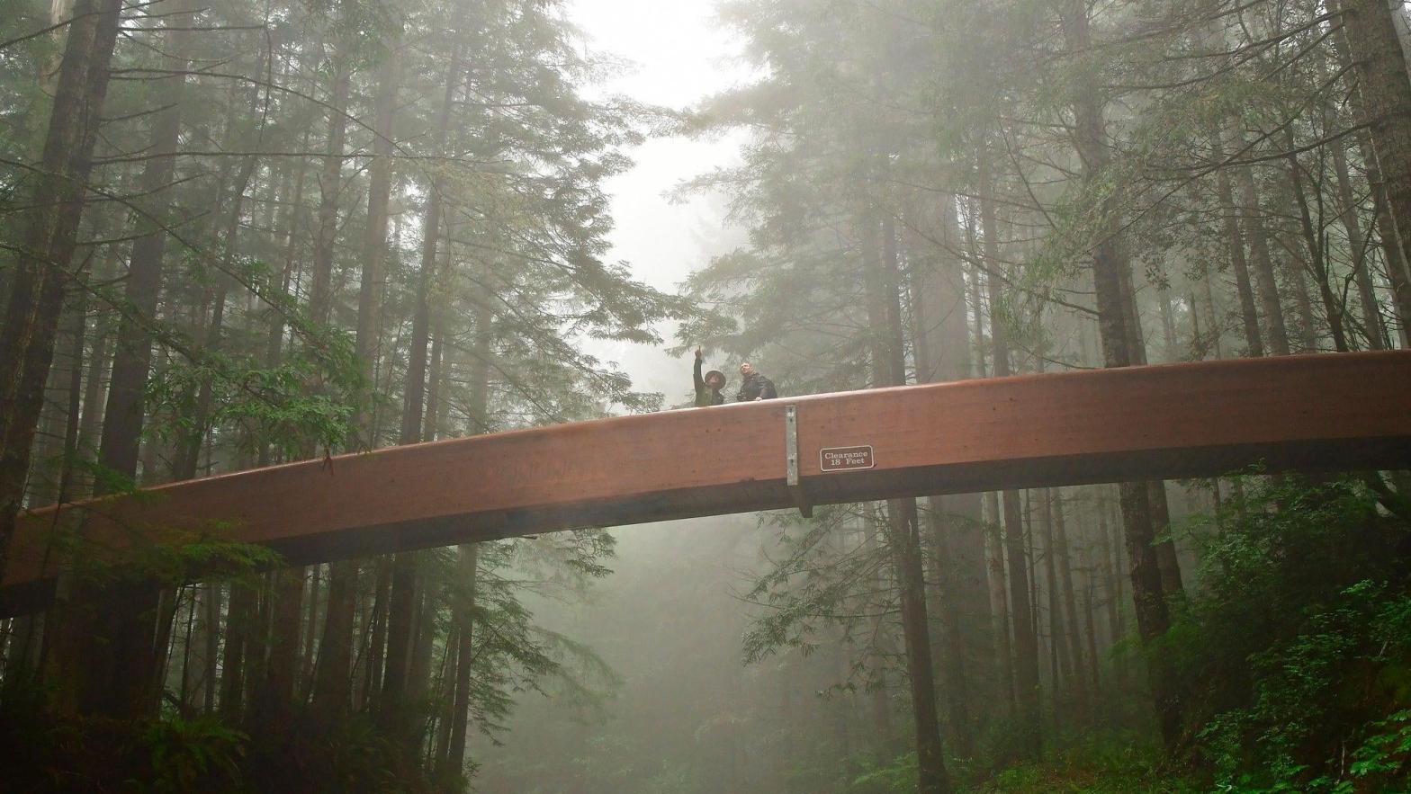 A park ranger with a visitor in fog on Lady Bird Johnson Grove footbridge in Redwood National Park. (Photo: Redwood National and State Parks)