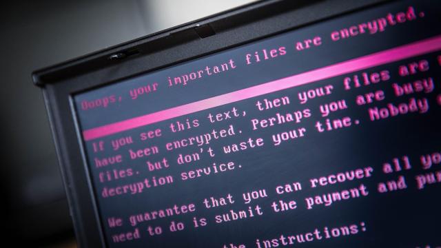 Europol Captures 12 Suspects Believed to Have Used Ransomware to Attack 1,800 Victims in 71 Countries