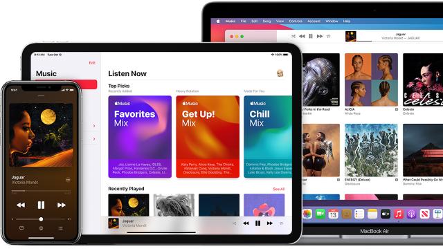 Is There Any Need to Get an Apple Music Voice Subscription?
