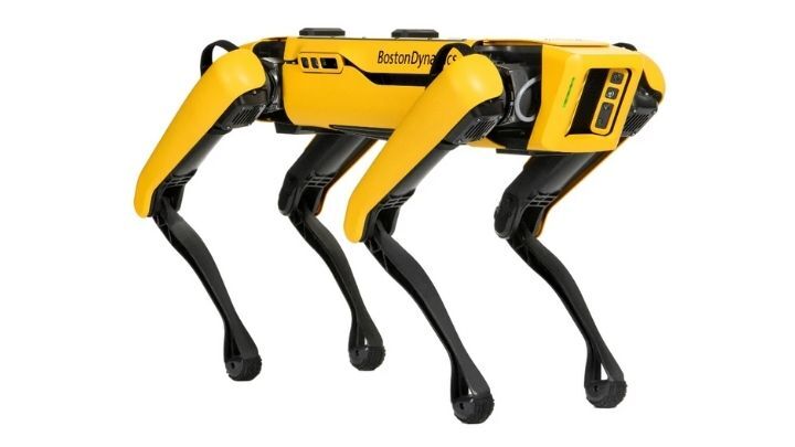 Boston dynamics best sale robot cost