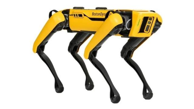A Robot Dog Worth $150k is Being Put to Work in Aussie Mines