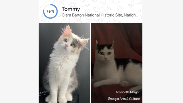 Google’s New ‘Pet Portraits’ Feature Helped Me Find my Cat’s Historical Doppelganger