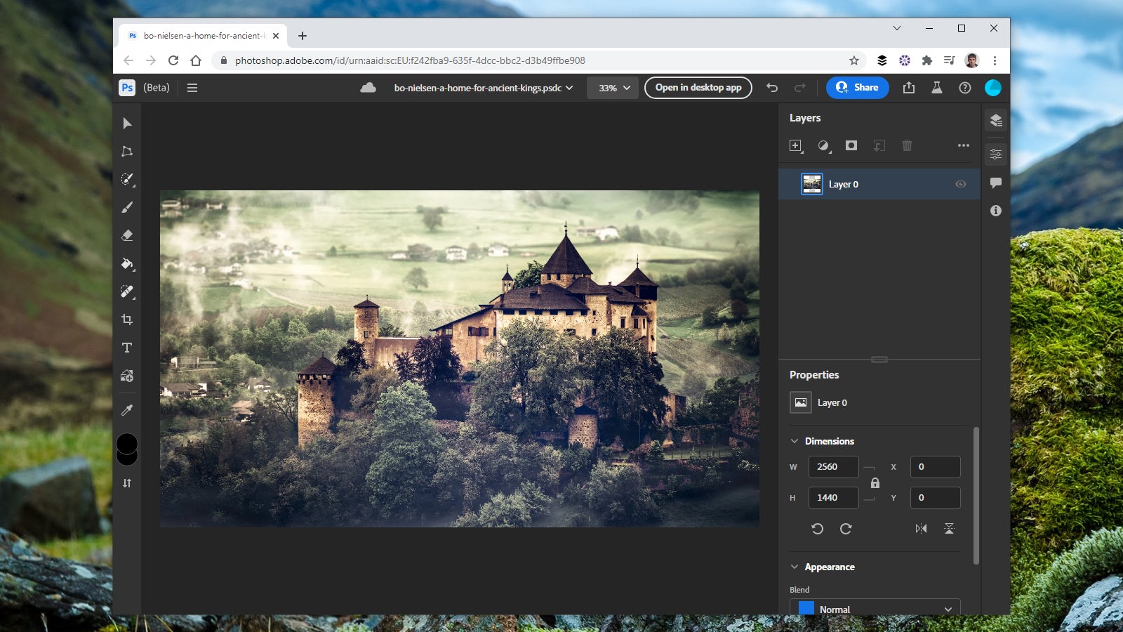 Photoshop on the web is very much on the basic side. (Screenshot: Adobe Photoshop)