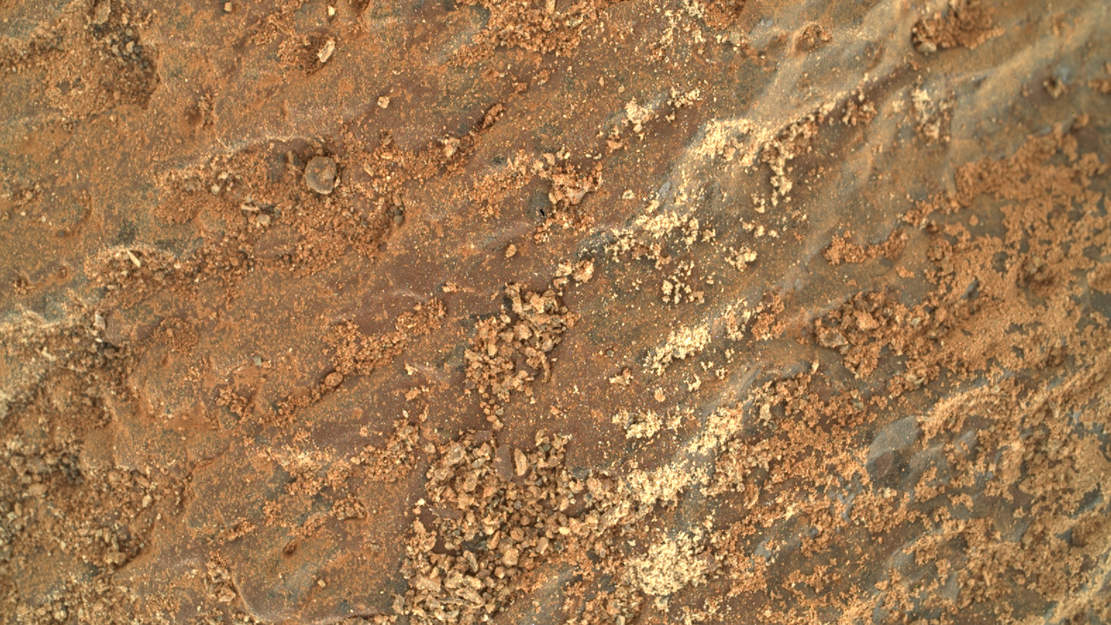 The Perseverance Rover Cut a Neat Circle Into a Martian Rock