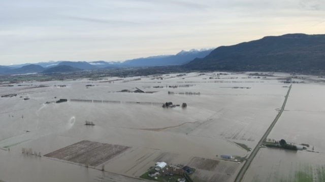 Farmers on Jet Skis Are Racing to Save Cows Trapped by British Columbia Floods
