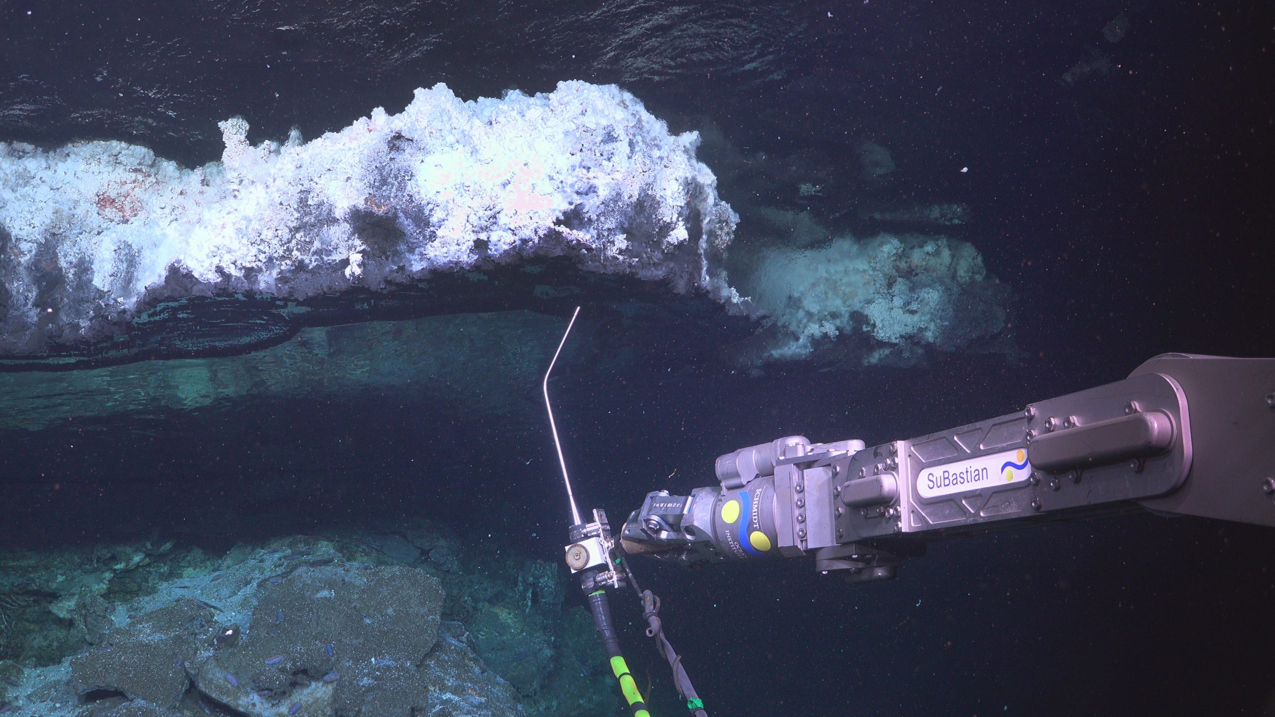 Taking readings and samples at a mirror pool in the JaichaMaa' ja' ag vent field. (Photo: Schmidt Ocean Institute)