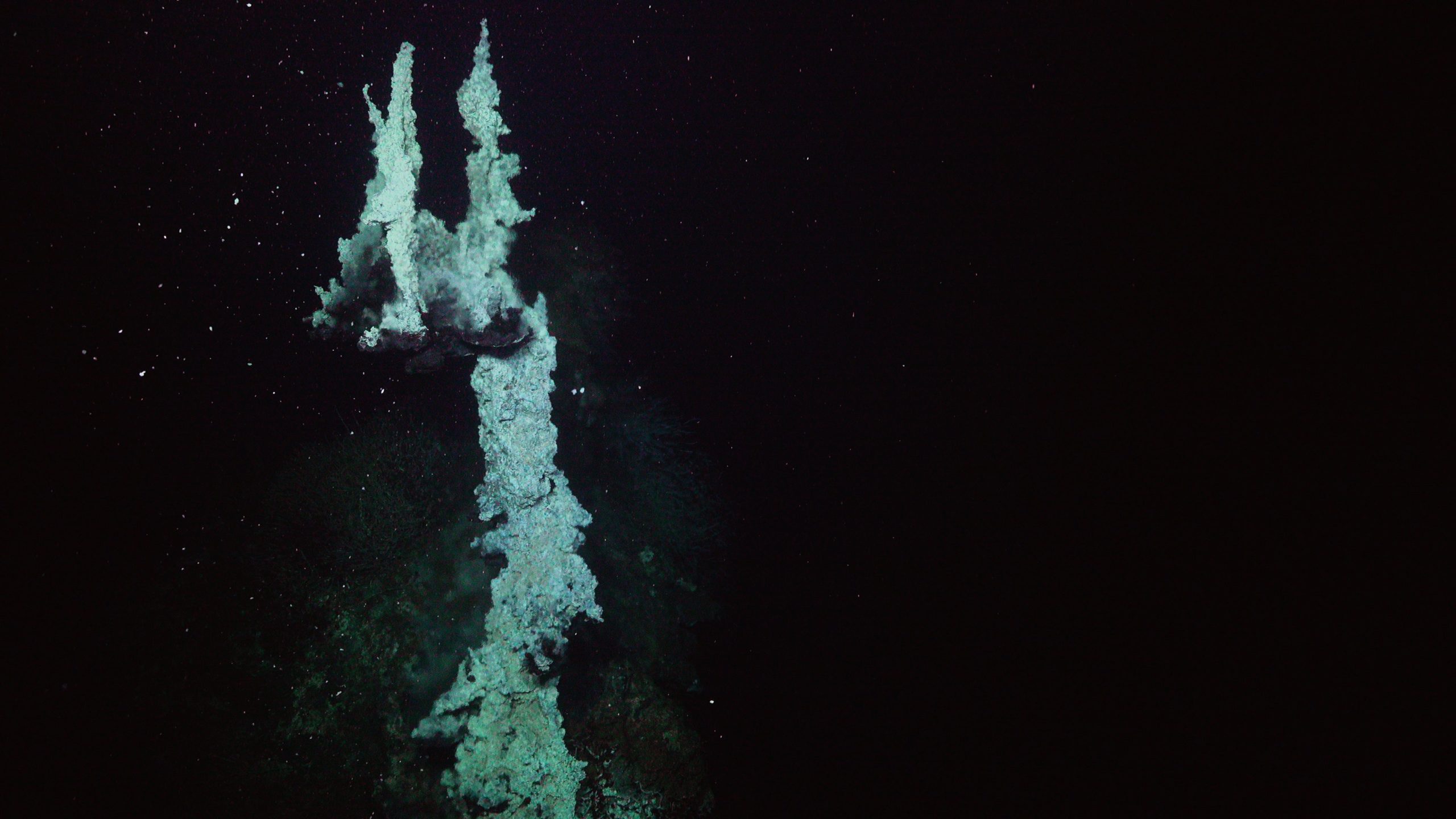 This chimney structure was formed by minerals precipitating from the hydrothermal fluids as they come in contact with the ocean's cold water, at a depth of 2.3 miles (3680 meters). (Photo: Schmidt Ocean Institute)