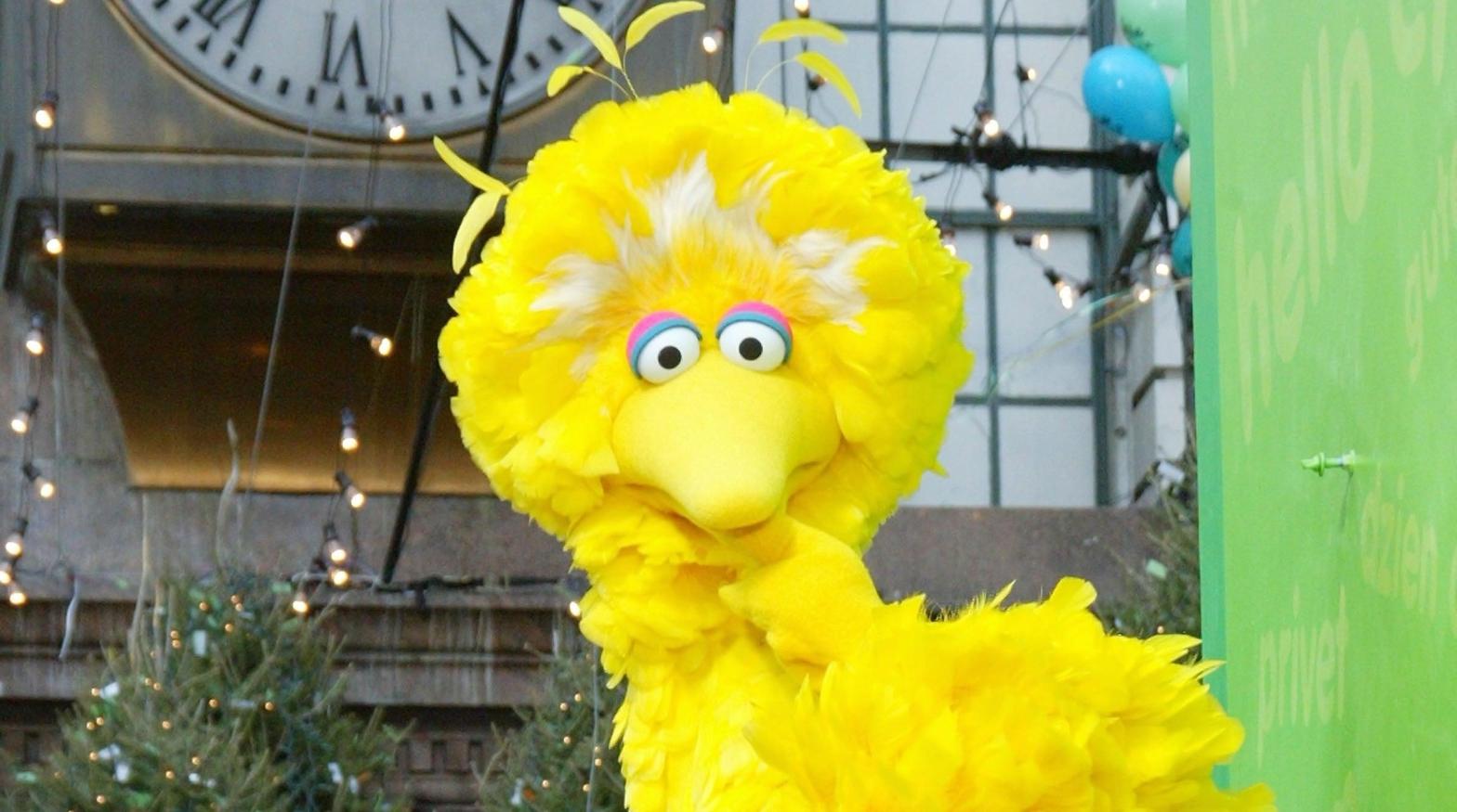Big Bird at the 76th Annual Macy's Thanksgiving Day Parade in Herald Square, New York, in November 2002. (Photo: Matthew Peyton, Getty Images)
