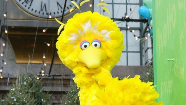 Warning: Do Not Go to CPAC 2022 Dressed as Big Bird
