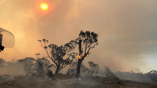Unsurprising, But Still Devastating, CSIRO Links Australia’s Forest Fires to Climate Change