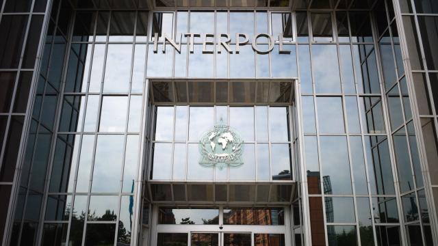 Interpol Says Email Fraud Operation Resulted In 1,000 Arrests and $38 Million Seized