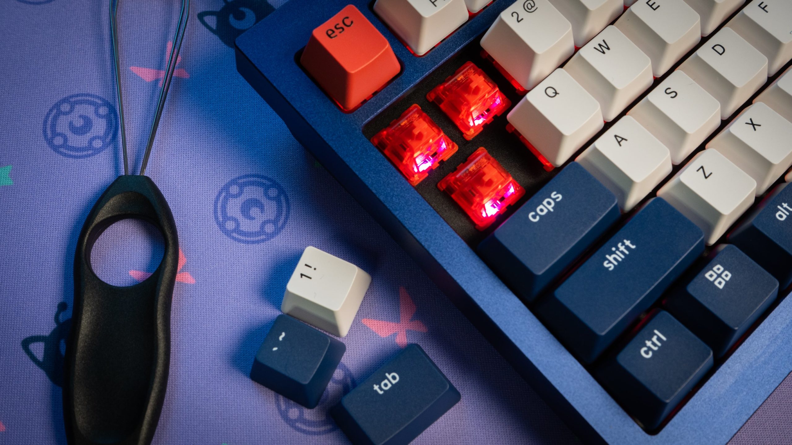 The Keychron Q1's Phantom Red switches were comfortable to type on.  (Photo: Florence Ion / Gizmodo)