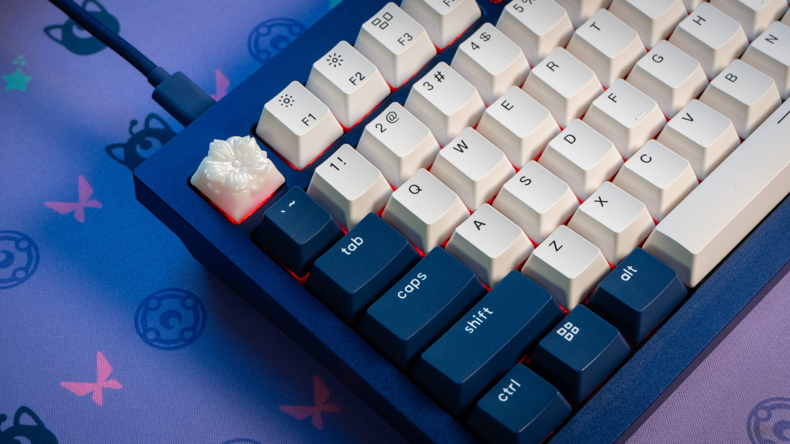 I swapped out the Escape key for a Capsmiths artisan keycap.  (Photo: Florence Ion / Gizmodo)