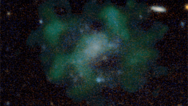 Astrophysicists See a Galaxy That Weirdly Appears to Have No Dark Matter