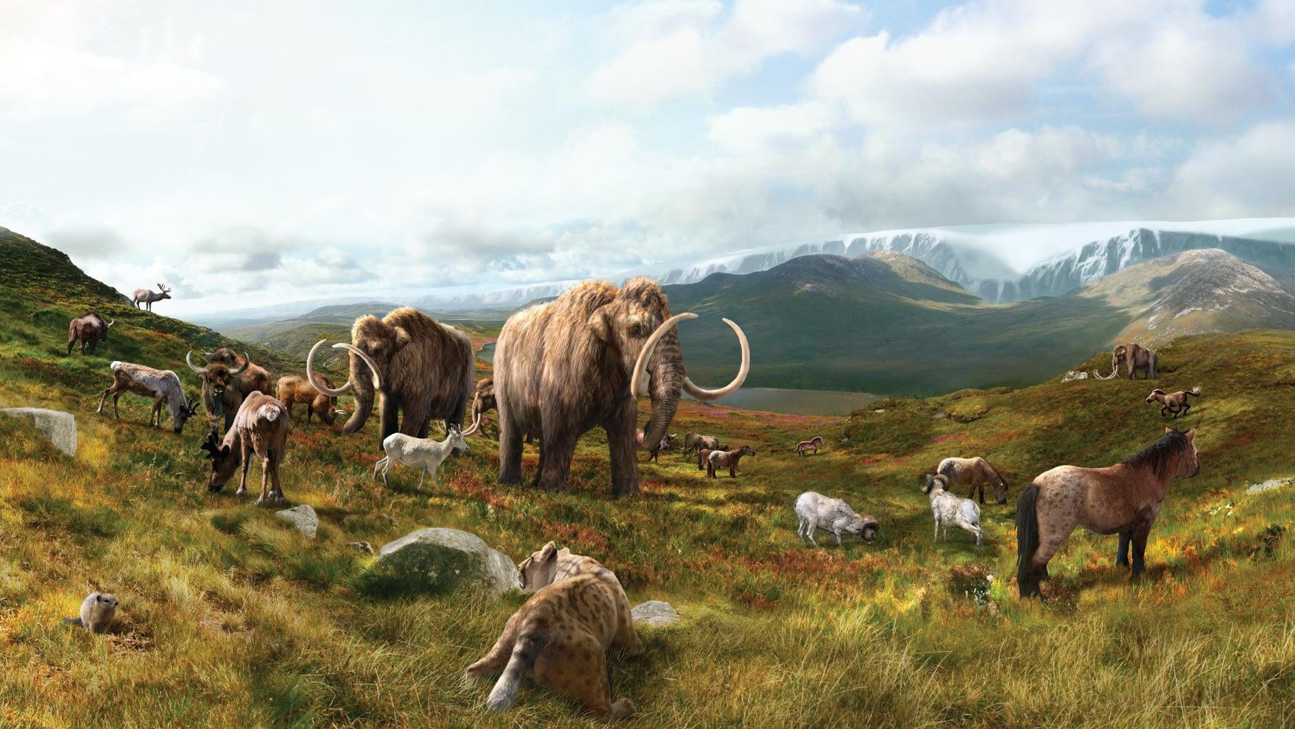 An artist's imagining of the Pleistocene ecosystem. (Illustration: Julius Csotonyi)
