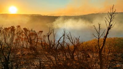 There It Is: As Climate Change Worsens So Will Our Bushfires