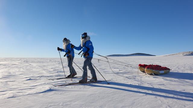 Space Agencies Are Tracking Two Explorers En Route to Antarctica’s ‘Pole of Inaccessibility’