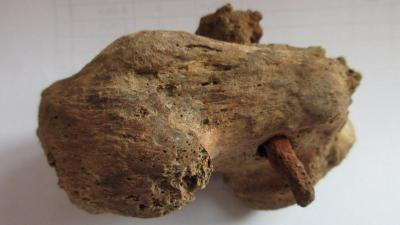 Nail Lodged in Skeleton’s Foot Is First Evidence of Crucifixion in England
