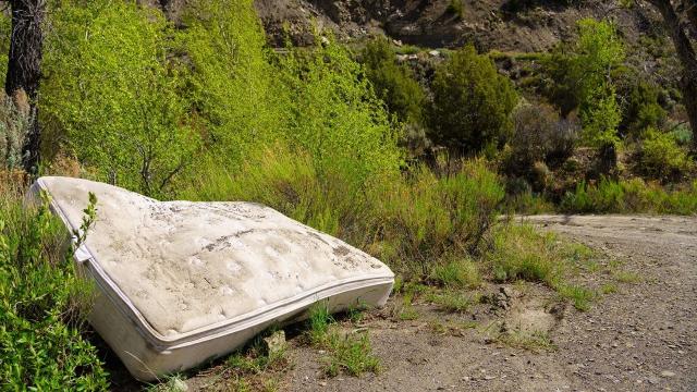 Yes, You Can Recycle Your Old Mattress, and This Aussie Company Will Even Pick It Up