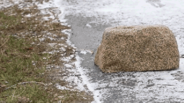This Remote-Controlled Rock Is Here To Learn Your Military Secrets