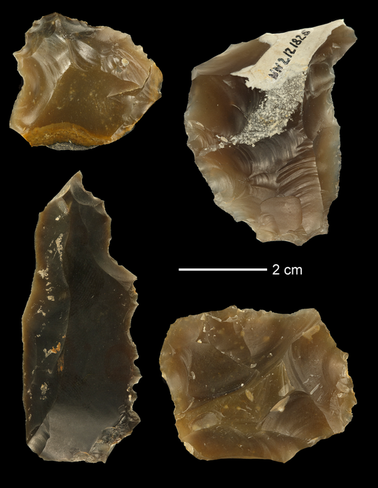 Flint artifacts found at Neumark-Nord.  (Image: Eduard Pop, Leiden University/Naturalis Biodiversity Centre, Leiden, Other)