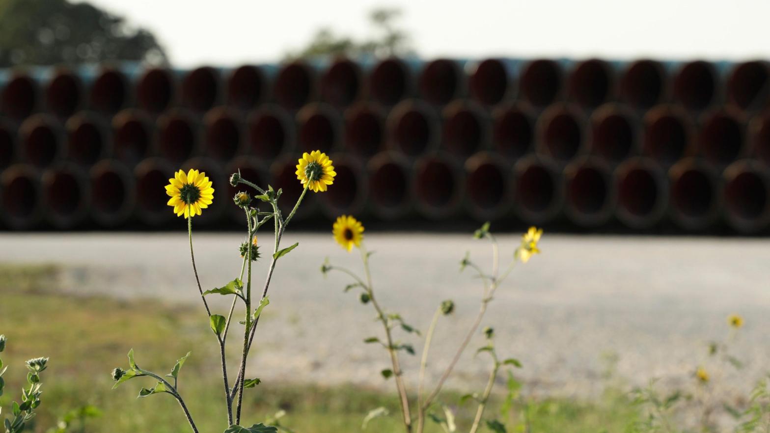 Unused pipes near Blanco, TX., in 2019. (Photo: Eric Gay, AP)
