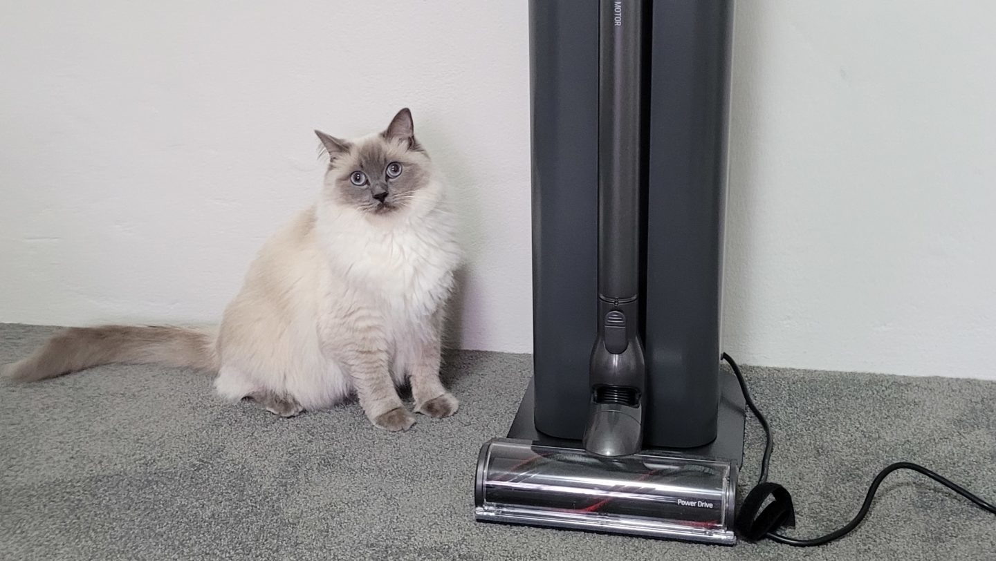 The LG CordZero with the resident house cat