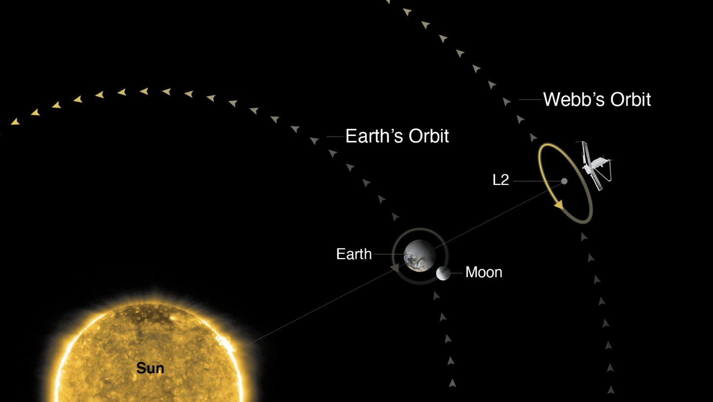 Graphic showing Webb's location in the second Lagrange point (not to scale).  (Graphic: NASA)