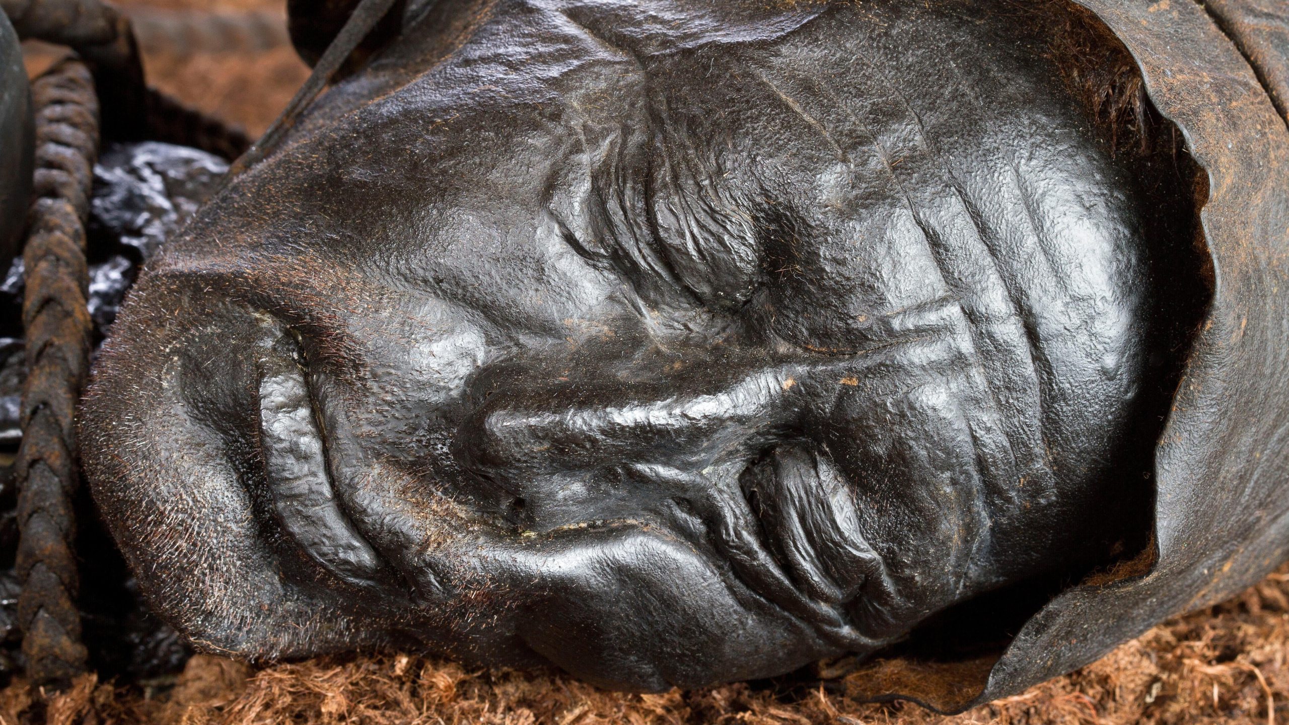 The incredibly well-preserved head of Tollund Man. (Image: A. Mikkelsen)