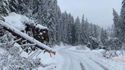 Google Maps Directed Drivers Down Dangerous Roads During Record Lake Tahoe Snowfall