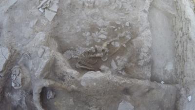 Archaeologists Find Ancient Tsunami Victim on the Turkish Coast
