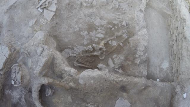 Archaeologists Find Ancient Tsunami Victim on the Turkish Coast