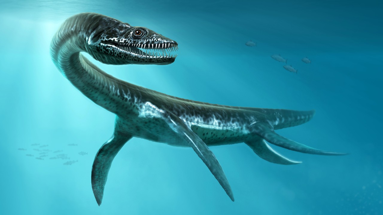 Secrets of New Zealand's Extinct Marine Reptiles Revealed 150 Years After Fossil Discovery