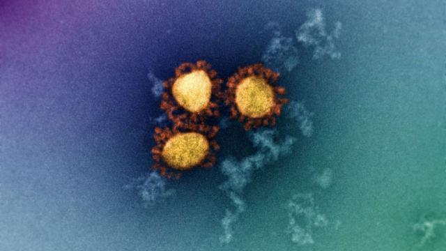 T Cells Could Be Instrumental in Fighting Omicron, Study Suggests