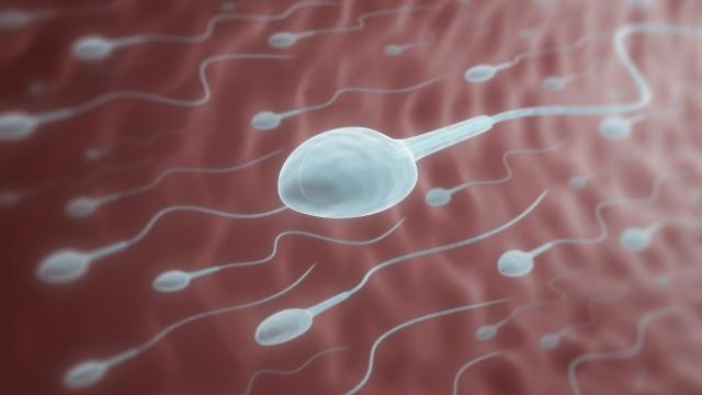 Hot Sperm: Could Heating up Testicles Be the Future of Male Birth Control?